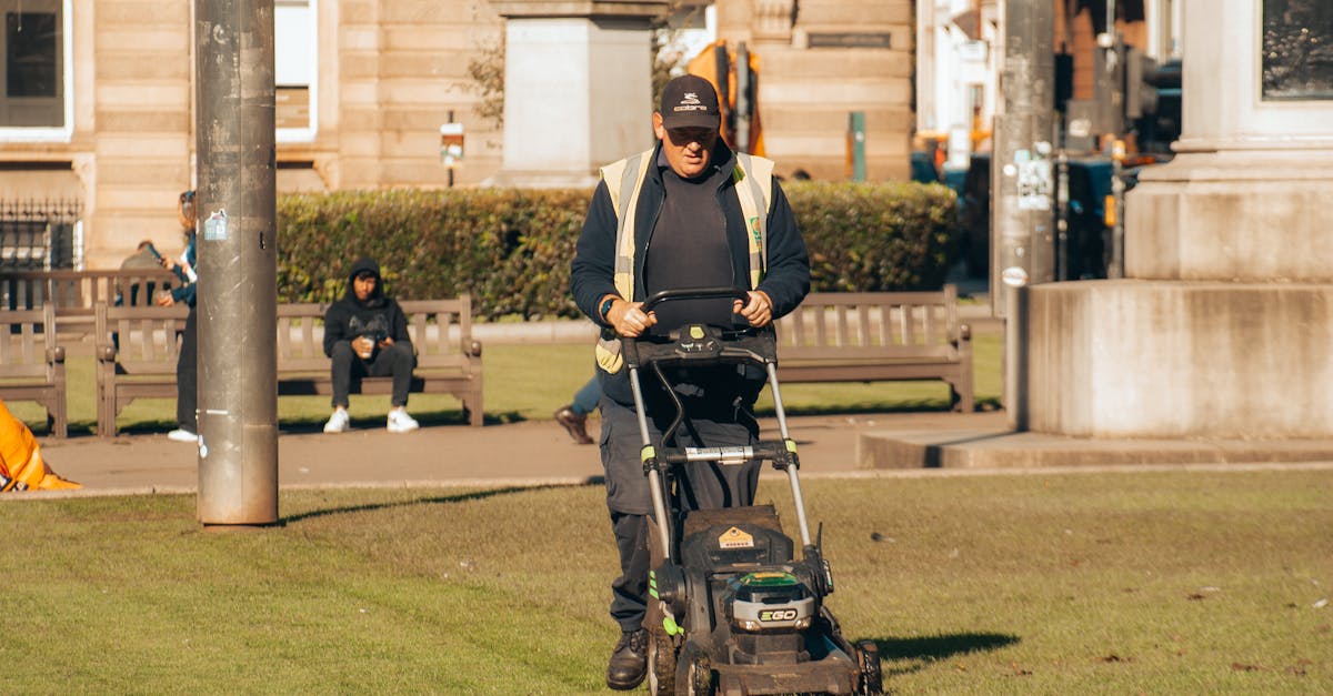 Lawn Mowing